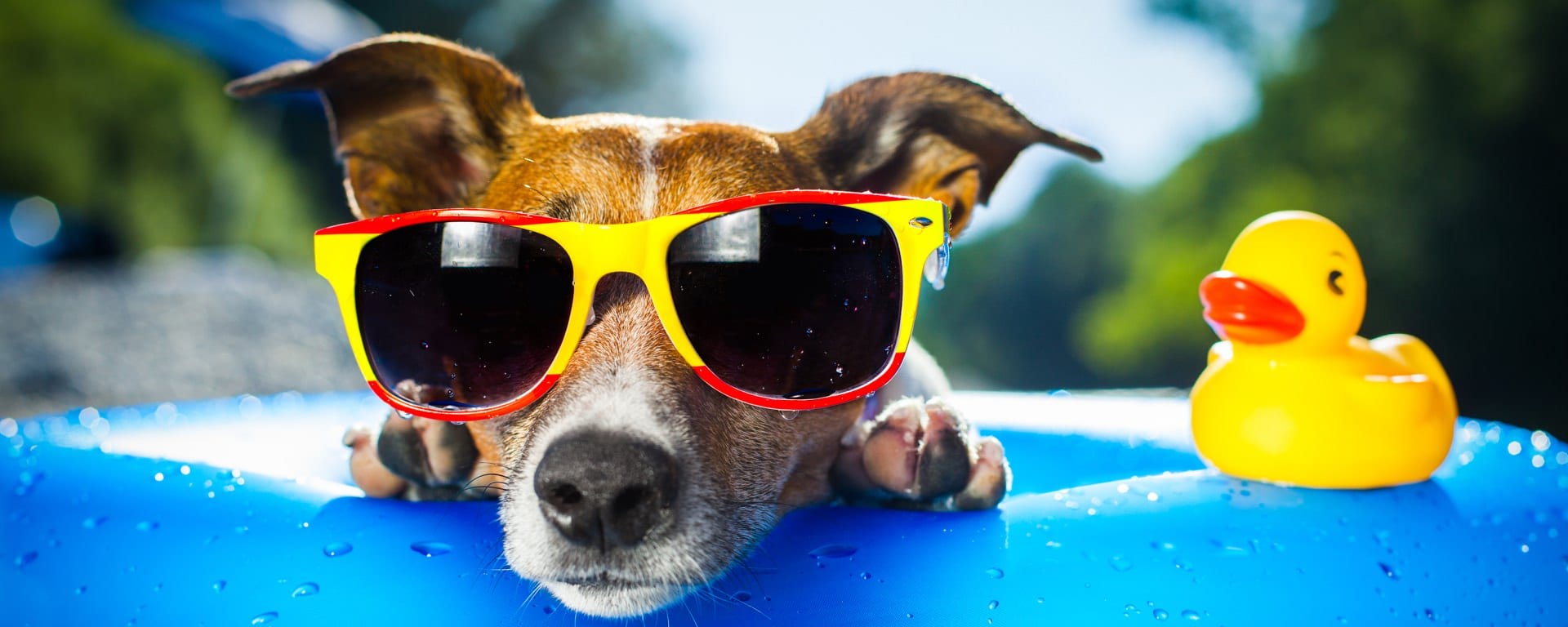 5 AC-Free Tips to Stay Cool This Summer » Trending Us