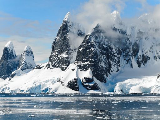 Reasons why you should start planning your trip to antarctica today!