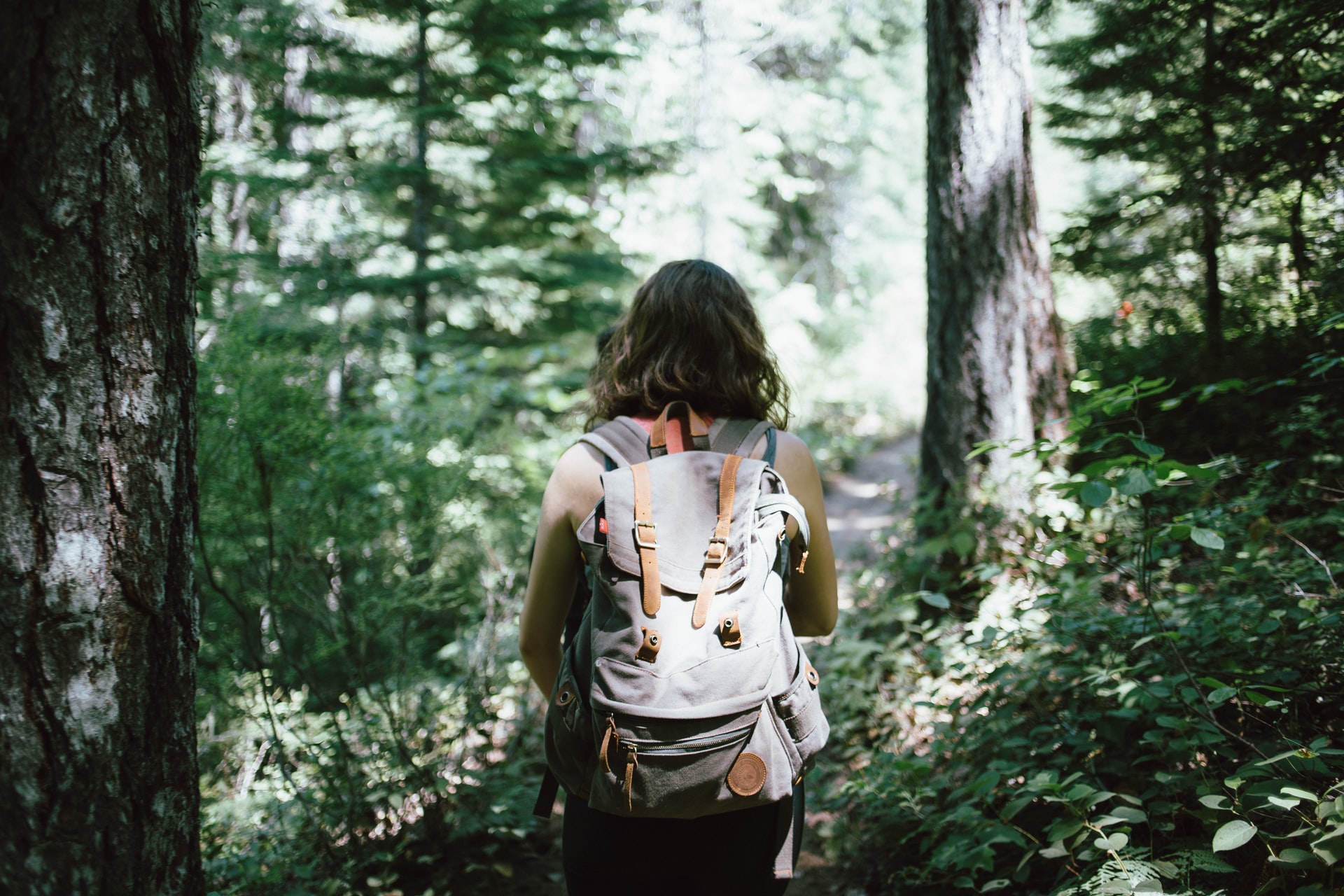 7 Reasons Why You Should Try Hiking  - 71