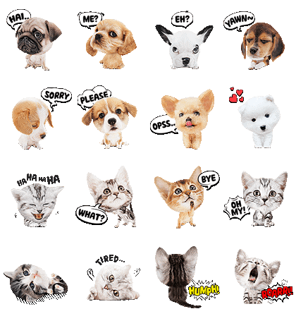 Trending whatsapp stickers for pets