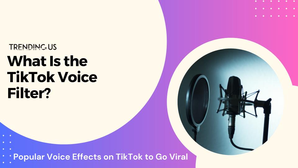 What is the tiktok voice filter