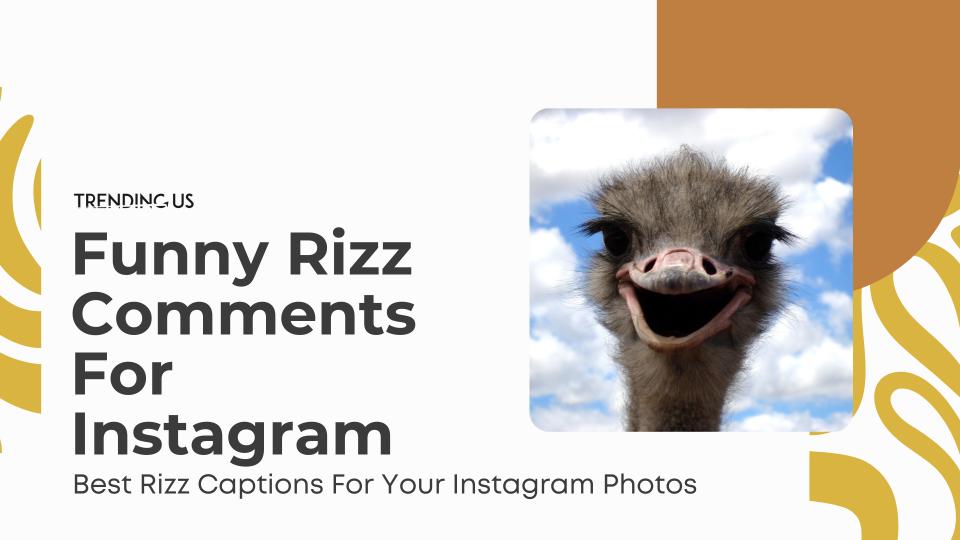 Funny rizz comments for instagram