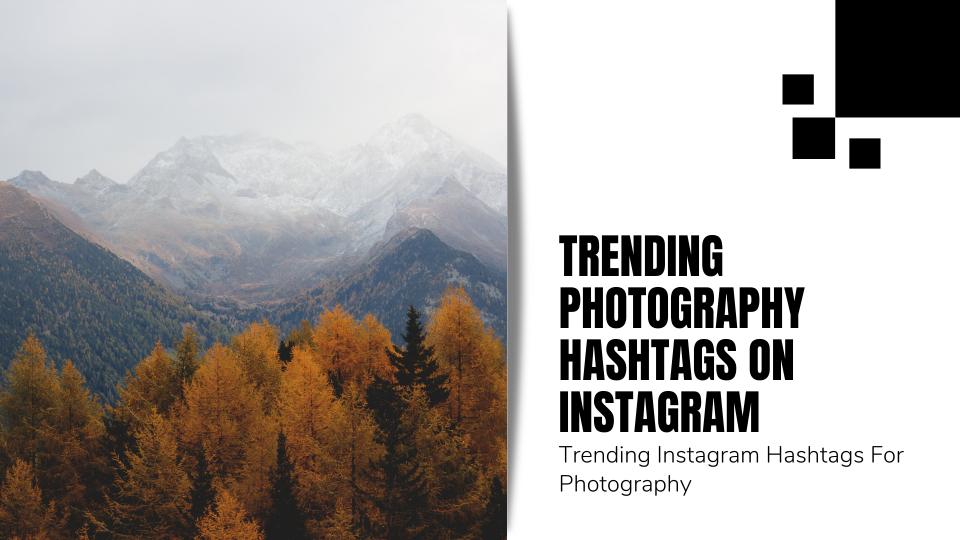 Trending photography hashtags on instagram