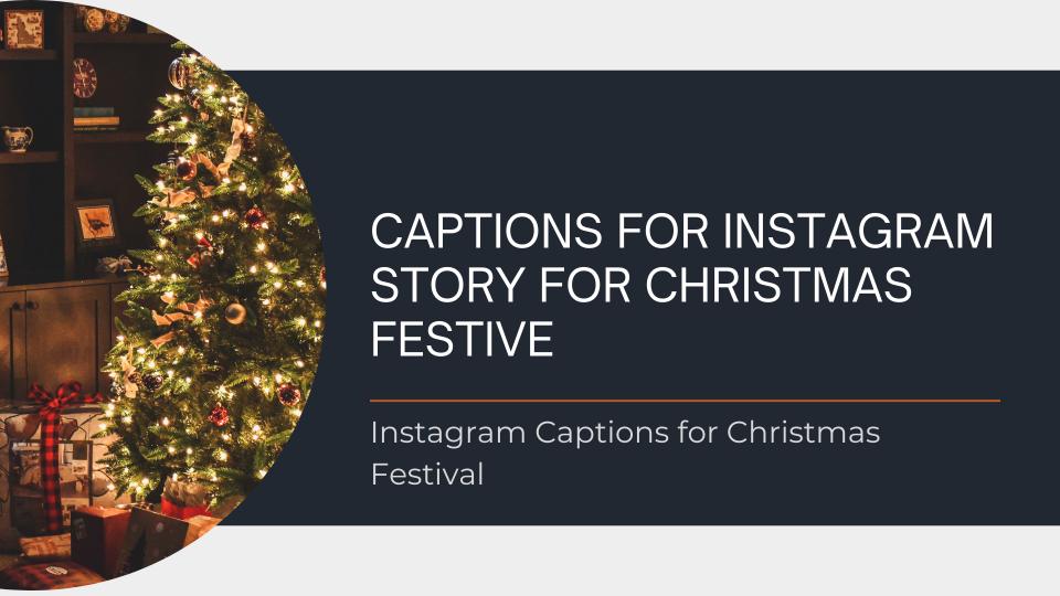 Captions For Instagram Story For Christmas Festive