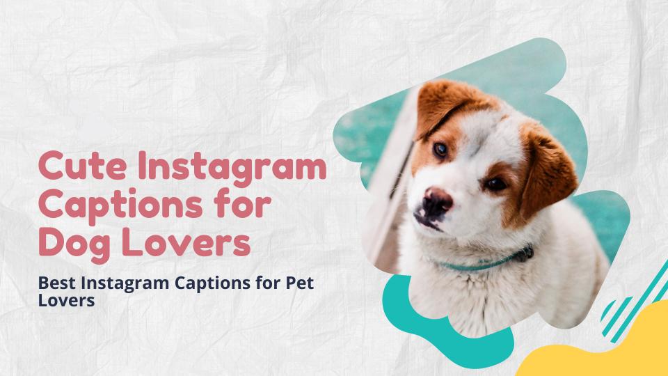 Cute Instagram Captions For Dog Lovers 