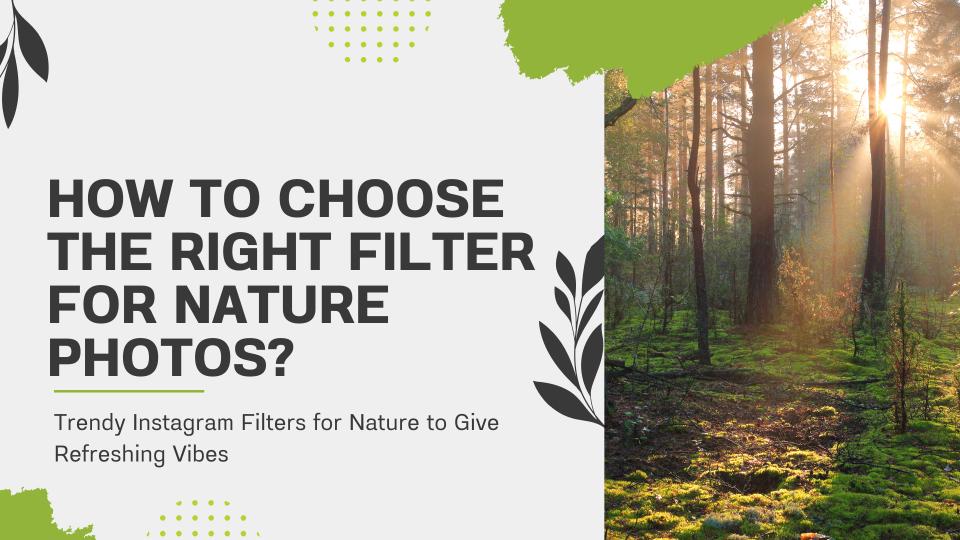 How to choose the right filter for nature photos