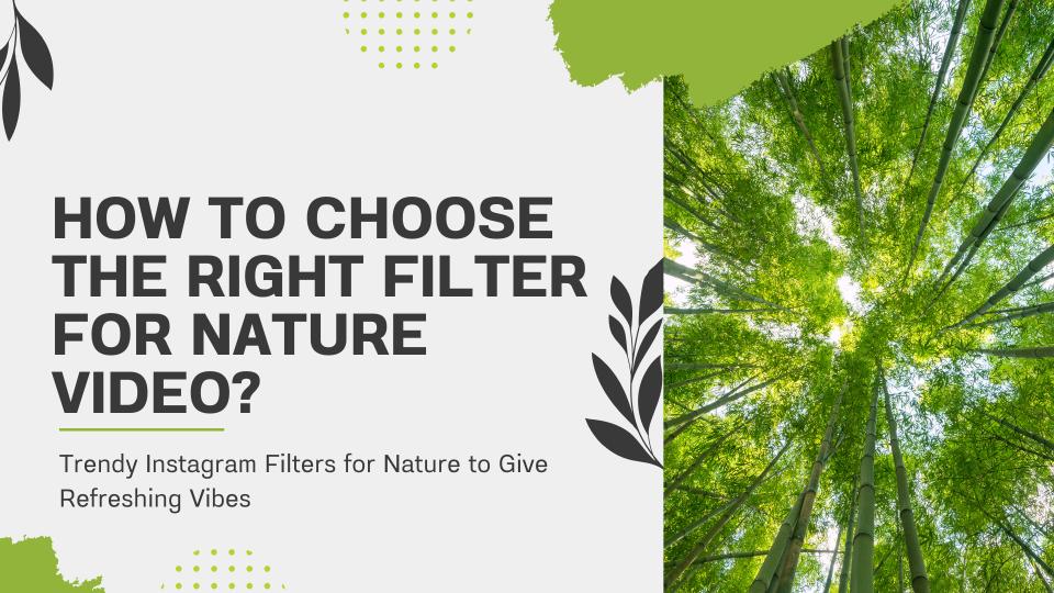 How to choose the right filter for nature video