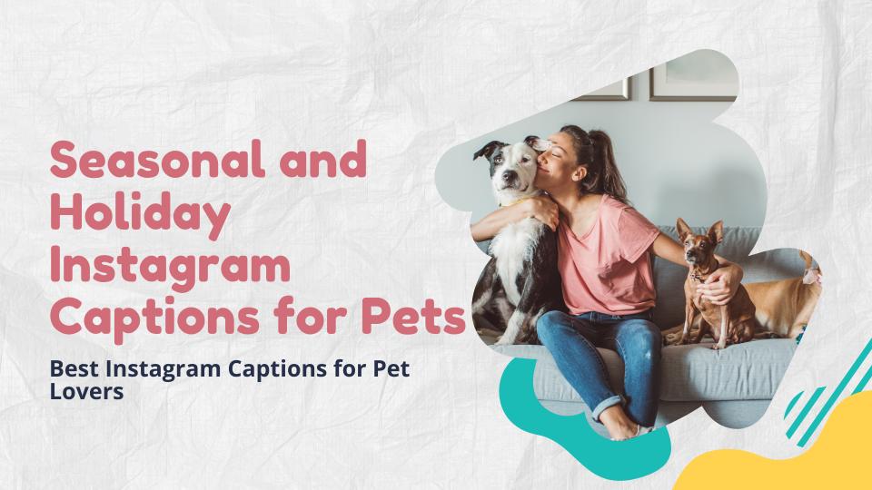 Seasonal And Holiday Instagram Captions For Pets