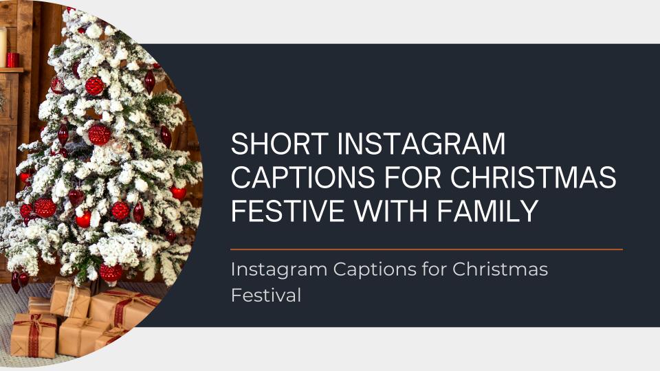 Short Instagram Captions For Christmas Festive With Family