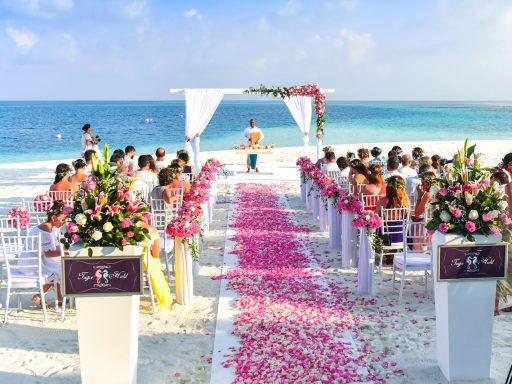 Trendy songs for wedding on tiktok