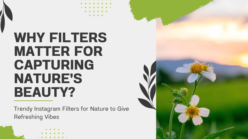 Why filters matter for capturing nature's beauty