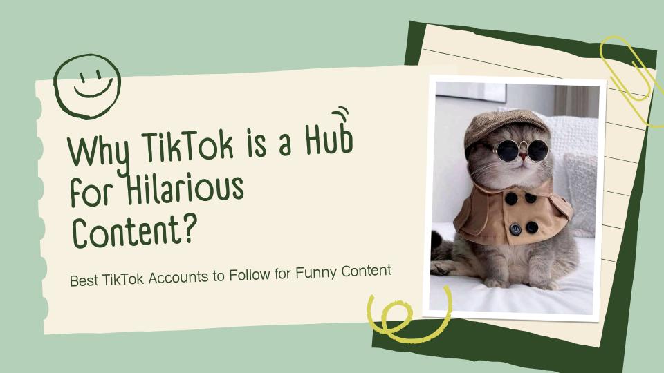 Why tiktok is a hub for hilarious content