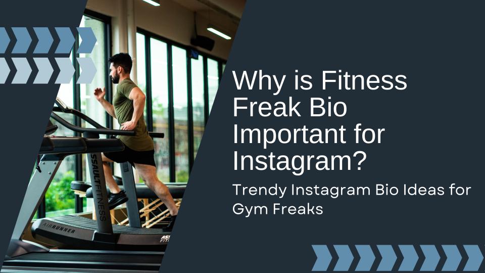 Why is fitness freak bio important for instagram