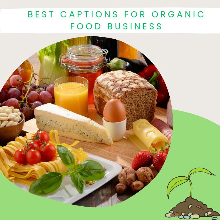 80+ Captions for Organic Food Business