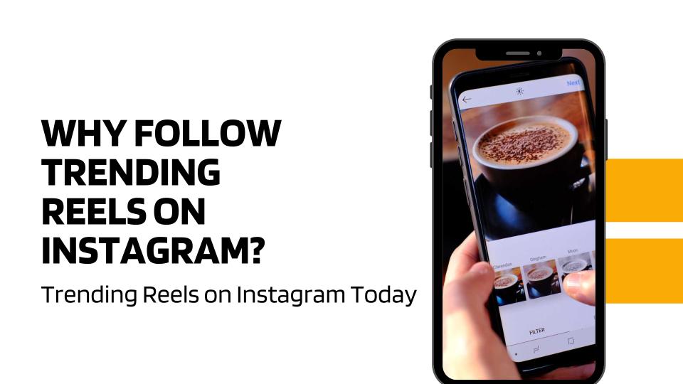 Why Follow Trending Reels On Instagram